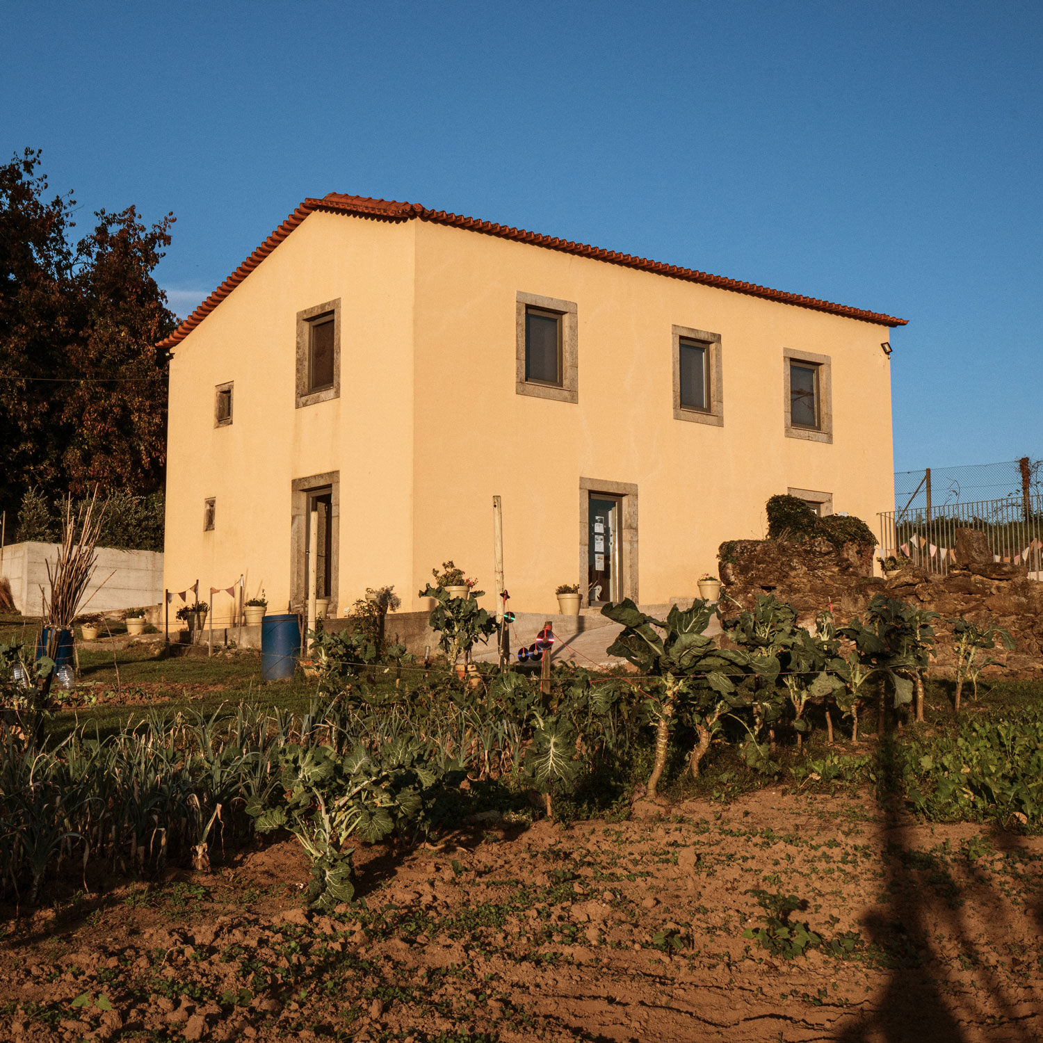 Fotografia da sede da Casa dos Choupos.